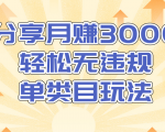 淘宝无货源店群无违规单类目玩法，轻松月赚300（视频教程）售价1380元|淘骐网赚资源库