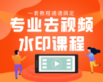 专业去视频水印教程 静态水印、动态水印、文字水印、图片水印一套教程通通搞定|淘骐网赚资源库
