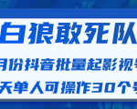 白狼敢死队最新抖音短视频批量起影视号（一天单人可操作30个号）视频课程|淘骐网赚资源库