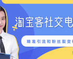某站内部课程：淘宝客社交电商裂变，精准引流和粉丝裂变模式详解（共6节视频）|淘骐网赚资源库