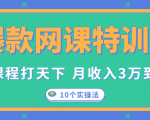 爆款网课特训营,一套课程打天下,网课变现的10个实操法,月收入3万到10万|淘骐网赚资源库