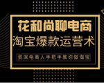 花和尚·天猫淘宝爆款运营实操技术,手把手教你月销万件的爆款打造技巧|淘骐网赚资源库