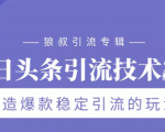 狼叔今日头条引流技术3.0，打造爆款稳定引流的玩法，VLOG引流技术|淘骐网赚资源库