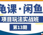 龟课·闲鱼项目玩法实战班第13期,轻松玩转闲鱼,多渠道多方法引流到私域流量池|淘骐网赚资源库