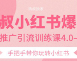 狼叔小红书爆款推广引流训练课4.0，手把手带你玩转小红书|淘骐网赚资源库