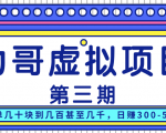 力哥实操内训虚拟项目第三期,每单几十块到几百甚至几千,日赚300-500+|淘骐网赚资源库