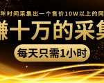 年赚十万的采集站，每天却只需要1小时，一年时间采集出一个售价10W以上的网站|淘骐网赚资源库