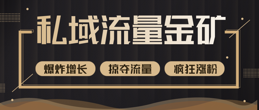 价值2200元私域流量的金矿,循环获取各大媒体精准流量,无限复制网红的精准流量!|淘骐网赚资源库