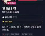 爆抖联盟蔷薇好物连怼100技术,一天连怼上百个视频,单场直播平均带货30万玩法|淘骐网赚资源库
