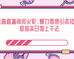 抖音直播间风火轮,暴力微信引流技术,低成本日加上千法|淘骐网赚资源库