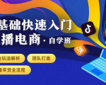 0基础快速入门直播电商课程:直播平台玩法解析-团队打造-带货全流程等环节|淘骐网赚资源库