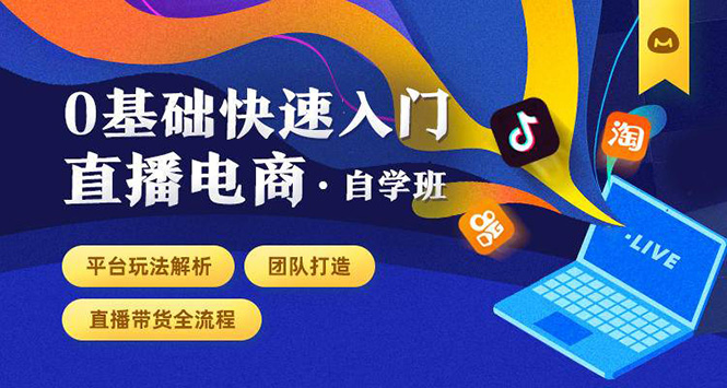 0基础快速入门直播电商课程:直播平台玩法解析-团队打造-带货全流程等环节|淘骐网赚资源库