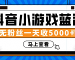赚钱计划：抖音小游戏蓝海项目，无粉丝一天收入5000+|淘骐网赚资源库