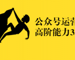 公众号运营高阶能力35讲，从月薪3k到月薪30k，新媒体人的必修课|淘骐网赚资源库