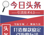 今日头条引流技术4.0,微头条实战细节,微头条引流核心技巧分析,快速发布引流玩法|淘骐网赚资源库