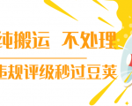 抖音纯搬运 不处理 小技巧,30秒发一个作品,避免违规评级秒过豆荚|淘骐网赚资源库