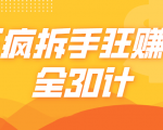 三疯拆手狂赚计,全30计课程|淘骐网赚资源库