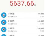 圣矾价值1200元付费担保项目:QQ挂机被动引流变现赚钱|淘骐网赚资源库