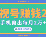 影视号赚钱项目2.0,无需电脑,一部手机剪出每月2W+收入|淘骐网赚资源库