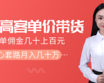 抖音高单价带货项目,一单佣金几十上百元,核心套路月入几十万(共3节)|淘骐网赚资源库
