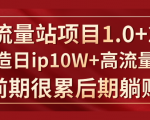 《大流量站项目1.0+2.0》打造日IP10W+高流量站,前期很累后期躺赚|淘骐网赚资源库