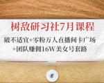 树敌研习社7月课程：破不适宜+零粉万人直播间卡广场+团队赚佣16W美女号套路|淘骐网赚资源库