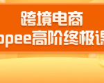 2020跨境电商蓝海新机会-SHOPEE大卖特训营:高阶终极课程(16节课)|淘骐网赚资源库