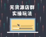 无货源店群实操玩法，蓝海选品的独特思路，店群软件操作方法（45节视频课）|淘骐网赚资源库