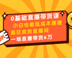0基础直播带货课：小白也能低成本搭建疯狂卖货直播间：1场直播带货6万|淘骐网赚资源库