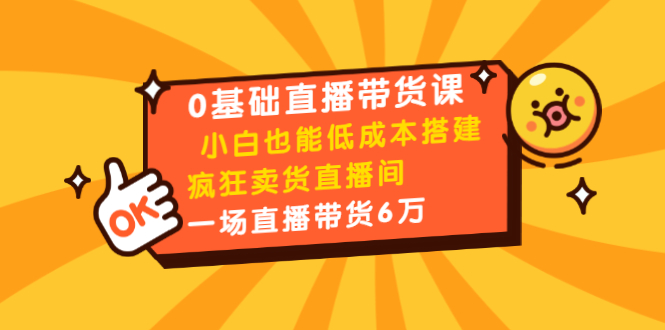 0基础直播带货课:小白也能低成本搭建疯狂卖货直播间:1场直播带货6万|淘骐网赚资源库