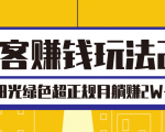淘客赚钱玩法2.0，阳光绿色超正规项目，月躺赚2W+【视频课程】|淘骐网赚资源库