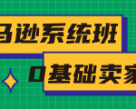 亚马逊系统班，专为0基础卖家量身打造，亚马逊运营流程与架构|淘骐网赚资源库