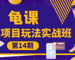 龟课·闲鱼项目玩法实战班第14期,批量细节玩法,一个月收益几万|淘骐网赚资源库