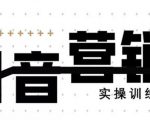 《12天线上抖音营销实操训练营》通过框架布局实现自动化引流变现|淘骐网赚资源库