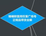 臻曦联盟抖音高权重广场号无人直播正规品带货全解|淘骐网赚资源库