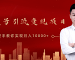 微信视频号运营变现课,带你玩转视频号实现月入10000+|淘骐网赚资源库