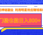 抖音上神秘副业项目,利用明星效应赚钱和截流,无门槛也能日入800+|淘骐网赚资源库
