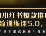 小红书爆款推广引流训练课5.0,手把手带你玩转小红书(17节实操视频+话术)|淘骐网赚资源库