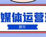 鹏哥自媒体运营班、宝妈兼职，也能月入2W，重磅推荐！【价值899元】|淘骐网赚资源库