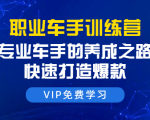 职业车手训练营:专业车手的养成之路,快速打造爆款(8节-无水印直播课)|淘骐网赚资源库