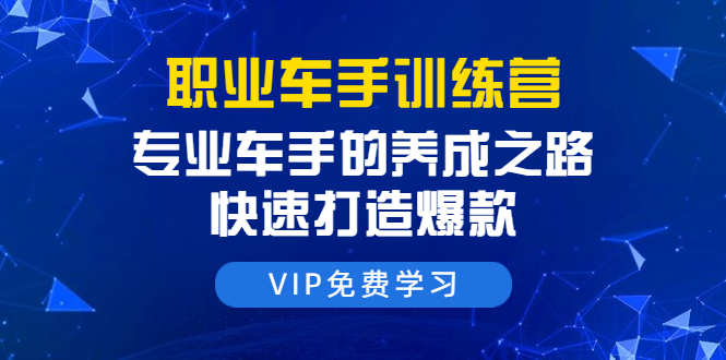 职业车手训练营:专业车手的养成之路,快速打造爆款(8节-无水印直播课)|淘骐网赚资源库