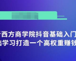 抖音基础入门班:小白0基础学习打造一个高权重赚钱的抖音号|淘骐网赚资源库