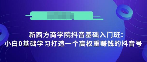 抖音基础入门班:小白0基础学习打造一个高权重赚钱的抖音号|淘骐网赚资源库