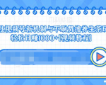视频号新机制与不刷赞撸养生茶玩法,轻松日赚1000+|淘骐网赚资源库