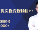 柚子分享课:微信视频号变现攻略,新手零基础轻松日赚千元|淘骐网赚资源库