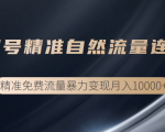 垂直起号精准自然流量连爆玩法,精准引流暴力变现月入10000+|淘骐网赚资源库