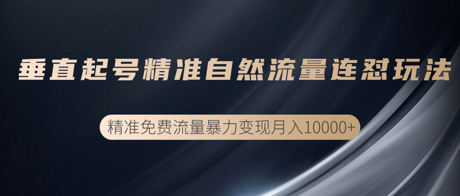 垂直起号精准自然流量连爆玩法,精准引流暴力变现月入10000+|淘骐网赚资源库