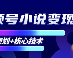 柚子微信视频号小说变现项目,全新玩法零基础也能月入10000+【核心技术】|淘骐网赚资源库