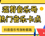 抖音音乐号涨粉套路,音乐号涨粉之混剪音乐号【热门音乐卡点】|淘骐网赚资源库