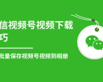 微信视频号视频下载技巧,轻松批量保存视频号等无水印视频到相册|淘骐网赚资源库